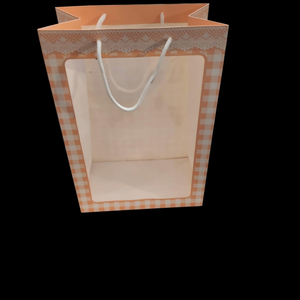 Pink Gift Bags With Transparent Window Swt Of 10 New